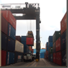 Container Field